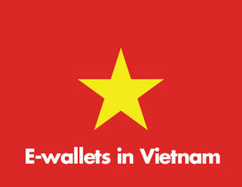 The overall landscape of E-wallet market in Vietnam