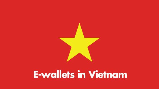 The overall landscape of E-wallet market in Vietnam