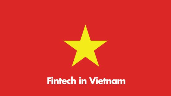 Fintech in Vietnam Report  2021