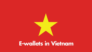 The overall landscape of E-wallet market in Vietnam